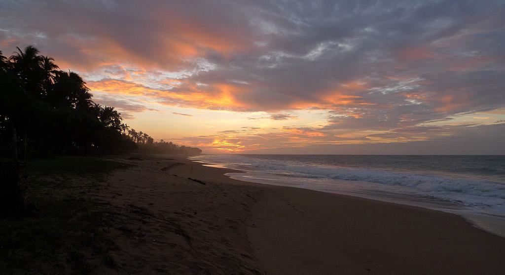 Seven Turtles Hotel Tangalle Exterior foto