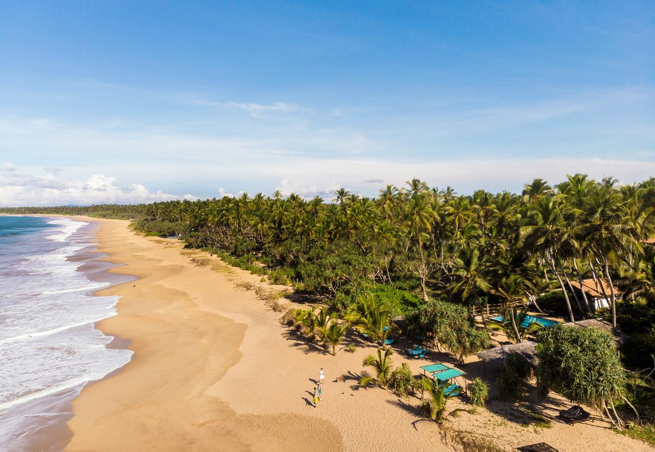 Seven Turtles Hotel Tangalle Exterior foto